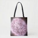 Search for astrophysics bags Cosmology