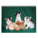 Search for tux calendars Tabby