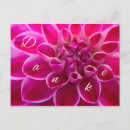 Search for blume cards Rosa
