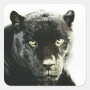 Search for black panthers stickers Wild animals