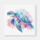 Search for sea turtle magnets Ocean