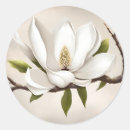 Search for magnolia tree stickers Branch
