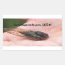 Search for insect rectangle stickers Bug
