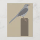 Search for omnivorous postcards Animal
