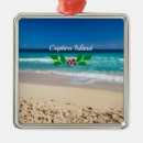 Search for florida christmas tree decorations United states