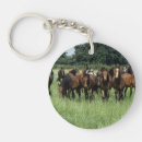 Search for thoroughbred horse key rings Grass