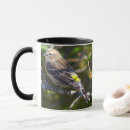 Search for warblers mugs Animals