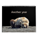 Search for bears calendars Grizzly