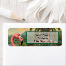 Search for birds of paradise return address labels Pink