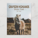 Search for recreation vertical postcards Souvenir