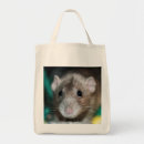 Search for dumbo Ratties