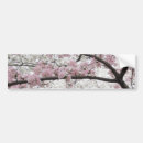 Search for cherry bumper stickers Flowers