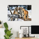Search for tiger cub posters Beautiful
