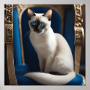 Search for siamese cats posters Animal