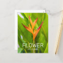 Search for flowers design postcards Garden