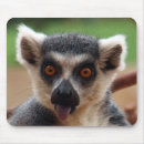 Search for primate mouse mats Lemur