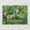 Search for bud postcards Plants