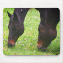 Search for grazing mouse mats Equestrian