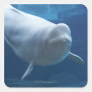 Search for body part stickers Swimming
