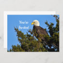 Search for wildlife birthday invitations Bird of prey