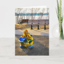Search for baby get well cards Photography