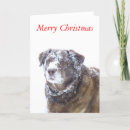 Search for chocolate lab christmas cards Winter