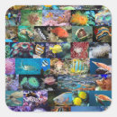 Search for coral reefs stickers For kids