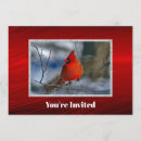 Search for cardinal invitations Winter