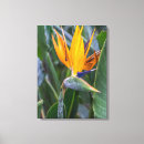 Search for bird of paradise canvas prints Flower
