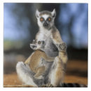 Search for lemur tiles Cute