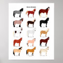 Search for horse breed posters Farm