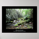 Search for mountain stream posters National park