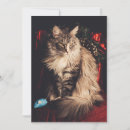 Search for maine Cat