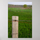 Search for fencing wire posters Country