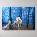 Search for magical night posters Mystic