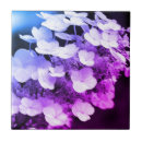 Search for hydrangea tiles Nature