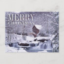 Search for gladness cards Ice