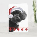 Search for toy poodle christmas cards Santa