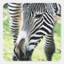 Search for selective stickers Vertical