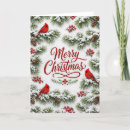 Search for cardinal bird christmas cards Rustic