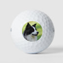 Search for border collie golf equipment Black