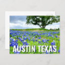 Search for texas bluebonnet postcards State flower