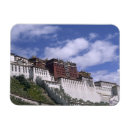 Search for bill bachmann magnets City