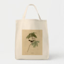 Search for swamp bags Bird