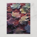 Search for small group of objects postcards Abundance