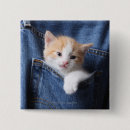 Search for cat looking badges Close up