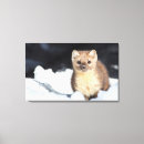 Search for yellowstone national park canvas prints Usa