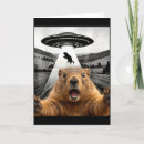 Search for statistics cards Valentineâ