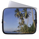Search for west indies cases Palm tree