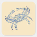 Search for beach background stickers Summer